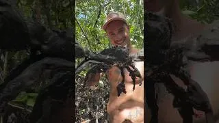 Thumbnail: Did we find the Giant Mud Crab or did we Fail?? 🦀 #mudcrabs