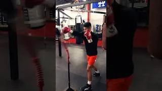Thumbnail: Boxing Reflex Bag #boxing