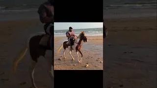 Thumbnail: Engineer Muhammad Ali Mirza #engineermuhammadalimirza #hourseriding