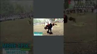Thumbnail: Calabar Cultural Displays