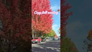 Thumbnail: Cozy fall reading🍁 #booktube #booktok #booktokrecs #booktokreads #booktokbooks #readingvlog