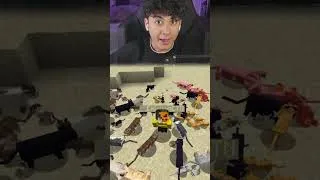 Thumbnail: Minecraft AMA Kediler Kavga Ediyor!