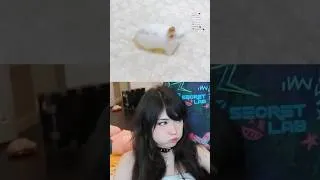 Thumbnail: Emiru Wants To Eat This Bunny
