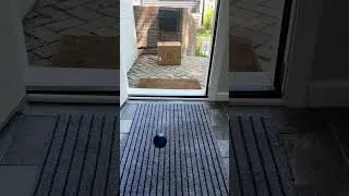 Thumbnail: Rolling Ball Video