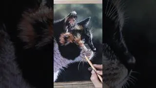 Thumbnail: Cat in Soft Pastel