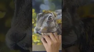 Thumbnail: Hare in Soft Pastel