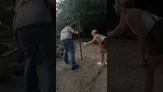 Thumbnail: Feeding MASSIVE Gators 🐊 #alligator #feeding #gators