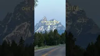 Thumbnail: our earth (home) is worth celebrating today & everyday #earthday #earth #nature #wildlife