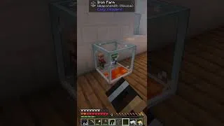 Thumbnail: Easy Villager Iron Farm In All The Mods 11!