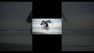 Thumbnail: The Flying Bike That Never Left My Mind