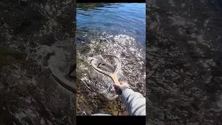 Thumbnail: I Didn't Know These Lived Here!!