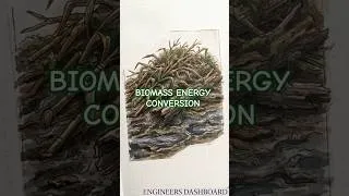Thumbnail: BIOMASS ENERGY CONVERSION