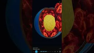 Thumbnail: What's Inside the Earth? 🌍 Class 9 "Shaping of the Earth's Surface"