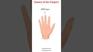 Thumbnail: Names of the fingers in English #englishvocabulary #englishpractice  #englishlearning