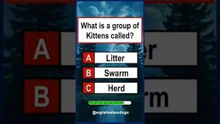 Thumbnail: General Knowledge Quiz: #shorts #shortsfeed #ytshorts #shortsbeta #quiz #youtubeshorts #gk
