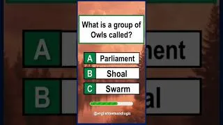Thumbnail: General Knowledge Quiz: #shorts #shortsfeed #ytshorts #shortsbeta #quiz #youtubeshorts #gk