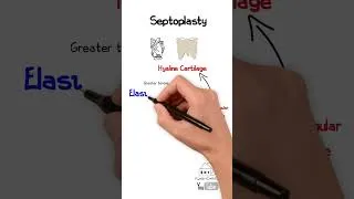 Thumbnail: Septoplasty: Anatomy and Assessment: Answer #1