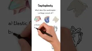 Thumbnail: Septoplasty Quiz Question #1