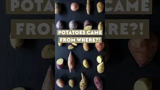 Thumbnail: The potato’s origin was a mystery…until now