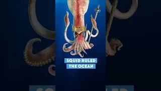 Thumbnail: 100 million years ago, squid suddenly took over the oceans