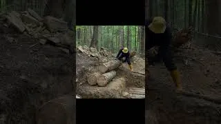 Thumbnail: 30 Days Solo Bushcraft Build #buildingshelter #survival #cabinadventure