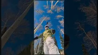 Thumbnail: Blue Bird Bliss: Shredding Solitude's Snowy Slopes. @solitudemountain