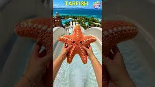 Thumbnail: Sea Animals Kids Learn at the water slide with Toys & Ocean animals #preschoollearning #toyanimals