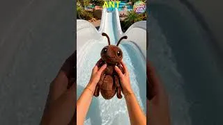 Thumbnail: Bugs 🐝🐞🐜💦 Kids Learn at the water slide with Bug Toy Bug Name & Home #preschoollearning #toyanimals