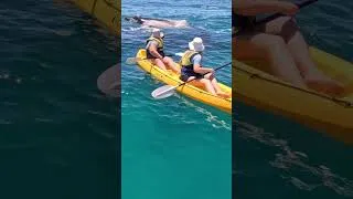 Thumbnail: Epic Adventure to Double Island Point Reel