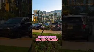 Thumbnail: Good morning Orlando! ☀️🌴A morning view from Endless Summer Resort – Surfside Inn