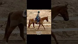 Thumbnail: RIDE MY DRESSAGE LESSON WITH ME 🐴 #horse #equestrian #dressage