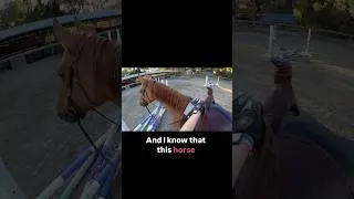 Thumbnail: What I do when my horse says “no”: controversial #equestrian opinion 🤷 #horse #horseriding