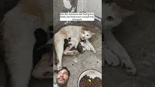 Thumbnail: Mother Cat Protecting Her Newborn Kittens ❤️ #shorts #cat #catlover