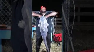 Thumbnail: Chicken for Bait catches monster Fish #fishing
