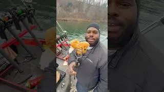 Thumbnail: Fish fry Friday #fishing