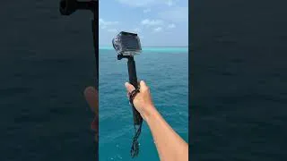 Thumbnail: my exact underwater camera setup