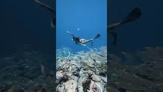 Thumbnail: come snorkeling with me in the Maldives 🤿🐠✨🐢