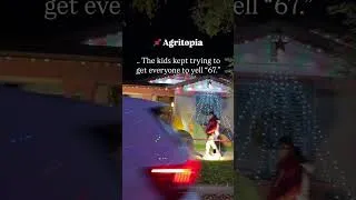Thumbnail: Christmas lights in Gilbert, Arizona