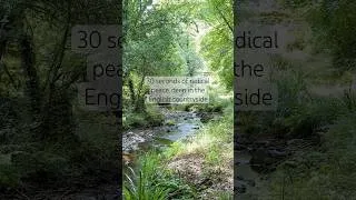 Thumbnail: No trending audio, just birdsong, running water, and the sound of your thoughts leaving the chat 🌞