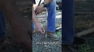 Thumbnail: Why I love square concrete stakes