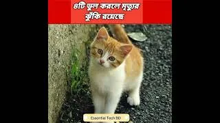 Thumbnail: ৪টি ভুল করলে মৃত্যুর ঝুঁকি রয়েছে #islam #islamic  #ytshorts #shortvideo  #ytshortsvideo #ytshort