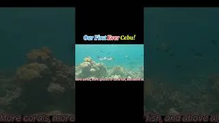 Thumbnail: Cebu or Boracay? Your choice? #koreaninphilippines #travel #cebu