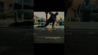 Thumbnail: Sarayoggini Wellness Journey #ecogarden #yoga #shorts #trending  #diyprojects #yogateacher  #diy