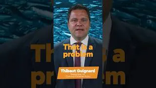 Thumbnail: Warming seas, empty nets: can coastal Europe cope? 🐟