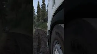 Thumbnail: Mud tires For ETS2
