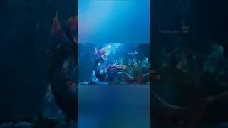 Thumbnail: Mizutsune Intro