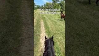 Thumbnail: Surprise on our trail ride 💖 #farmdiaries #horses
