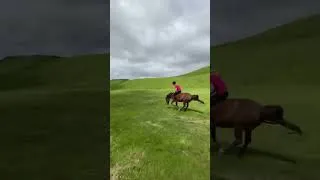 Thumbnail: Rusty attempt at a “buck” 🤦‍♀️ #horsesoftiktok #fyp #horses #Rusty #gallop