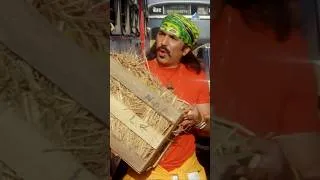 Thumbnail: आंबा पिकतो Amba Pikato Song | Haapus | Subodh Bhave #song #mango #ytshorts #trending #viralvideo