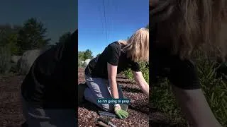 Thumbnail: How to Plant a Pollinator Garden